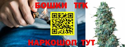 тгк Дубна